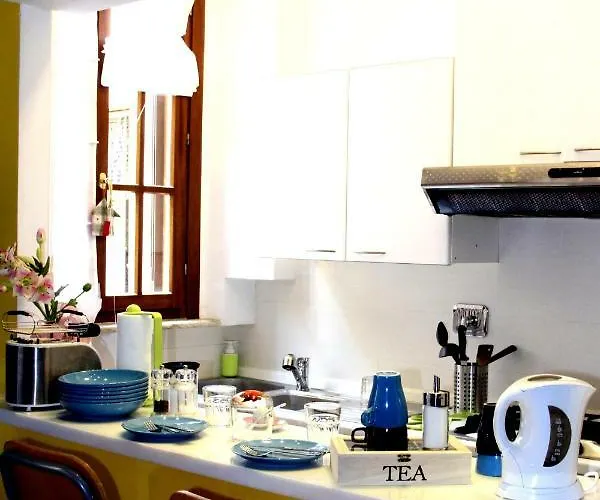 Daire Mandruchello's Roma